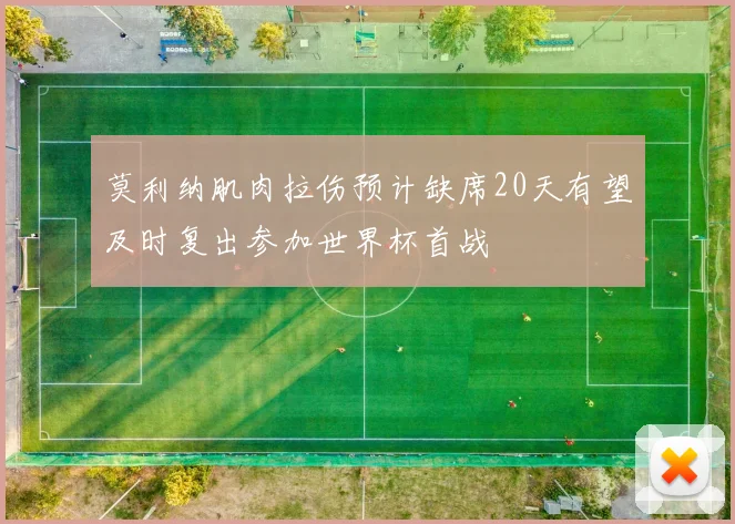 莫利纳肌肉拉伤预计缺席20天有望及时复出参加世界杯首战