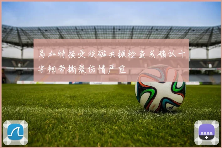 乌加特接受核磁共振检查或确认十字韧带撕裂伤情严重